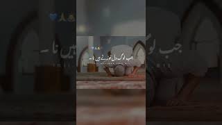 Allah 💖 Jo sahayata karne mein maja aata hai na subscribe shorts shortvideo viralshort viral [upl. by Nesyt600]