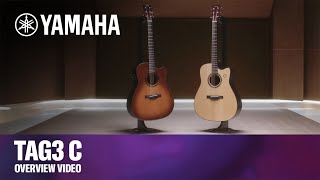 TAG3 C  Yamaha TransAcoustic Guitars [upl. by Nnalorac641]