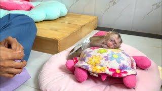 Infant Richard lay down sleep on his pink turtle while a company mom sewinqclothes [upl. by Jenei64]