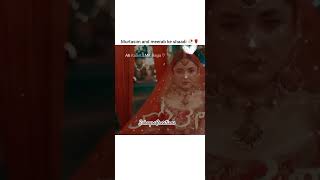 Murtasim and meerab ke shaadi 🥀🌹Terebin  ft wahajali yummnazaidi wahajyumna shorts edit [upl. by Edelman]