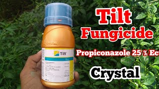 Propiconazole 25 Ec  Tilt Fungicide  Crystal Crop Protection [upl. by Fagin]