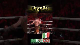 Puro Orgullo Mexicano🤗Canelo vsFidoToysBusters [upl. by Toll241]