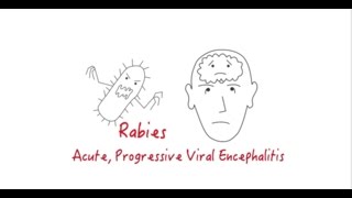 Introduction to Rabies [upl. by Kayne]