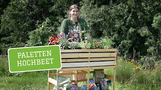 UPCYCLING HOCHBEET  wie man aus Paletten ein Hochbeet baut [upl. by Golding600]