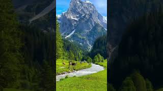 switzerland view  96 movie jaanu singing song [upl. by Yrollam216]