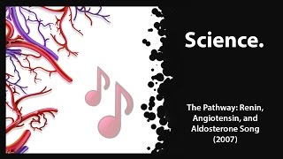 The Pathway Renin Angiotensin amp Aldosterone 2007 [upl. by Ayotak]