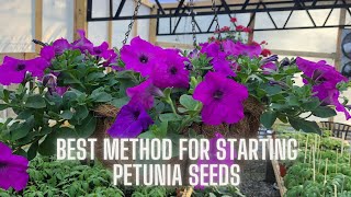 Get Ready for Spring Mastering Starting Petunia Seeds [upl. by Nossila]