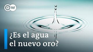 La lucha por el agua  DW Documental [upl. by Keil16]