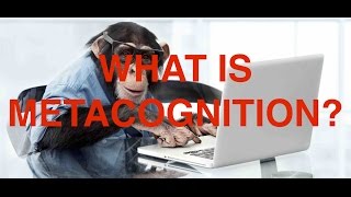 What Is Metacognition [upl. by Rehctaht403]