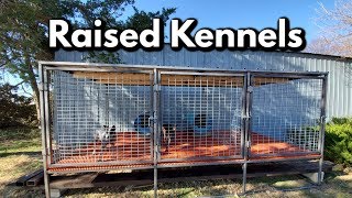 Professional Raised Dog Kennel build [upl. by Malaspina291]