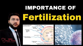 Importance of fertilization [upl. by Rhoads889]