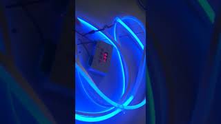 DMX NEON FLEX CONNECTION WITH CONTROLLER [upl. by Story]