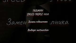 Radlager wechseln Triumph Speed triple 1050 [upl. by Abbi]