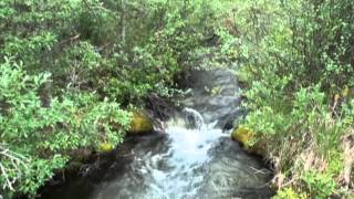 Canmore Creek Fish Habitat VWeirs and Deflectors mp4 [upl. by Sergo]