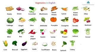 Learn vegetables in English  Expand your english vocabulary [upl. by Tarttan702]