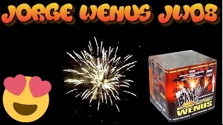 2x Jorge Wenus JW08 Testvideo Full HD [upl. by Ashman137]