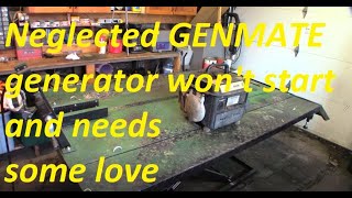 This Genmate generator will not start it has sat for many years [upl. by Freeland]