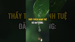 Thầy Thích Minh Tuệ đã dạy rằng [upl. by Xel]