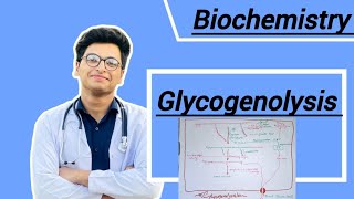 Glycogenolysis  Glycogen metabolism [upl. by Nylarad]