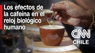 Cafeína La importancia de estudiar sus efectos  Entrevistas CNN [upl. by Leahcir]