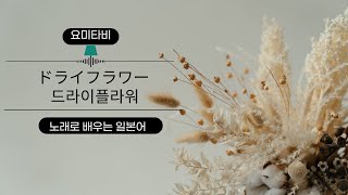 노래로 배우는 일본어 2021 일본을 강타했던 그 노래 계속 1위만 했던 優里의 ドライフラワー함께 배워봅시다 [upl. by Alisander]