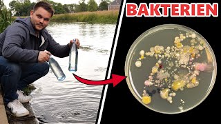 TABLETTE vs KOCHEN vs FILTER  Wie TRINKWASSER aufbereiten 𝟰𝗞  JJChemistry [upl. by Kilah]