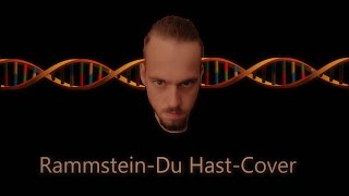 Rammstein  Du Hast Cover [upl. by Nitsreik415]