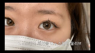 비교영상 스칸디 헤이즐 vs 스칸디 올리브  OLENS SCANDI HAIZEL vs OLENS SCANDI OLIVE Color Contact Lens Review [upl. by Kcoj483]