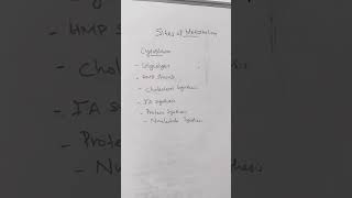 Sites of metabolism metabolism glycolysis hmpshunt gluconeogenesis ureacycle heme fattyacid [upl. by Downing]