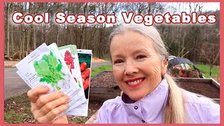 Plant THESE 4 Cool Season Vegetables Now EASY in a Raised Bed Spring Planting Part 3 [upl. by Nowahs592]