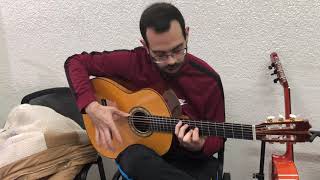 Javier Conde guitarra de cocobolo [upl. by Asila256]