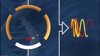 Fourier Transform Ion Cyclotron Resonance Mass Spectrometry [upl. by Stormi]