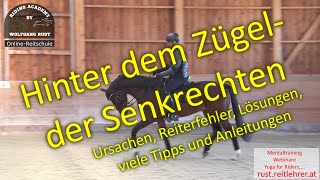 F129 Hilfe mein Pferd geht hinter dem Zügel und hinter der Senkrechten Eingerollte Pferde reiten [upl. by Constantin906]