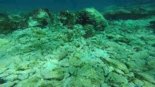 Snorkeling at Moni Island in Aegina Saronic Islands Greece August 2016 [upl. by Trillbee]