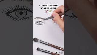 Eyeshadow guide for beginners👀 foryou makeup makeuptools beauty cosmeticbrushes [upl. by Miharba]