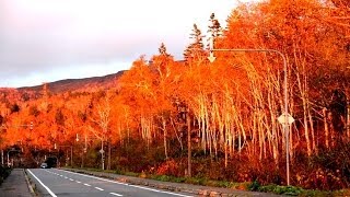 Hokkaido Japan driving towards the Daisetsuzan National Park gorgeous Asahidake Onsen [upl. by Notniuq]