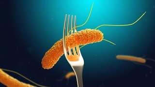 Understanding Salmonellosis and its Medical Implications 3 MInutes [upl. by Josefina]