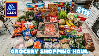 ALDI GROCERY SHOPPING HAULback to school groceries [upl. by Ailyn]