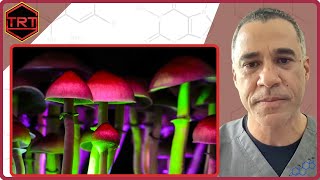 Psychedelics and Testosterone Replacement Therapy TRT [upl. by Enna304]