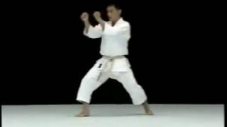 Kata Jion JKS Sensei Yamaguchi [upl. by Euhc694]