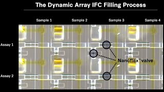 How an integrated fluidic circuit or IFC works [upl. by Sofia555]