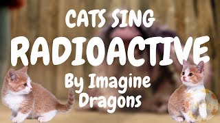 Cats Sing Radioactive by Imagine Dragons  Cats Singing Song [upl. by Lady]