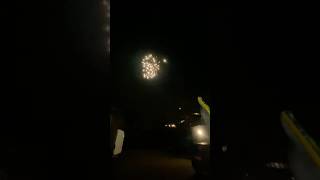 Roman candle Firework Star Lander 5 Shot [upl. by Zindman166]