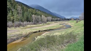 KOOTENAI WILDLIFE PRESERVE BONNERS FERRY IDAHO [upl. by Sarson]