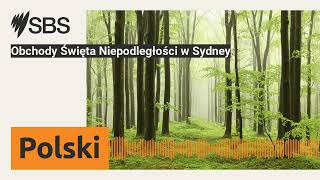 Obchody Święta Niepodległości w Sydney  SBS Polish  SBS po polsku [upl. by Daryle]