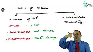 Biochemical mechanisms of cell injury  By Dr Sushant Soni  Pathology [upl. by Eiraminot]