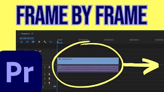 Move Clips Frame by Frame in Premiere Pro Quick Tutorial [upl. by Vallie]