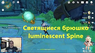 Светящиеся брюшко GENSHIN IMPACT  как добыть где найти светлячков luminescent spine  Glowworm [upl. by Tatman770]