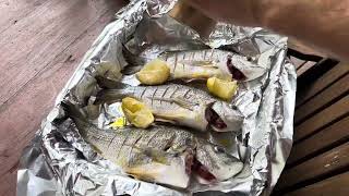 Another Fish Cookup Bream Catch n Cook Caleb Wolff reupload [upl. by Flodur]