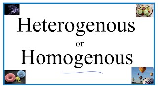 Heterogenous vs Homogenous Definitions Examples amp Practice [upl. by Pappano993]